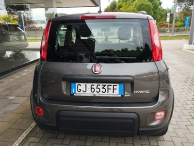 Fiat Panda 1.0 firefly hybrid s&s 70cv 5p.ti (6)