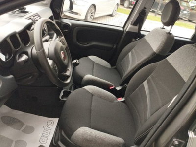 Fiat Panda 1.0 firefly hybrid s&s 70cv 5p.ti (8)