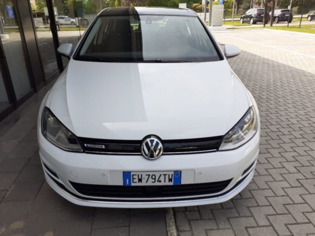 Volkswagen Golf 1.4 TGI DSG 5p. Highline BlueMotion (3)