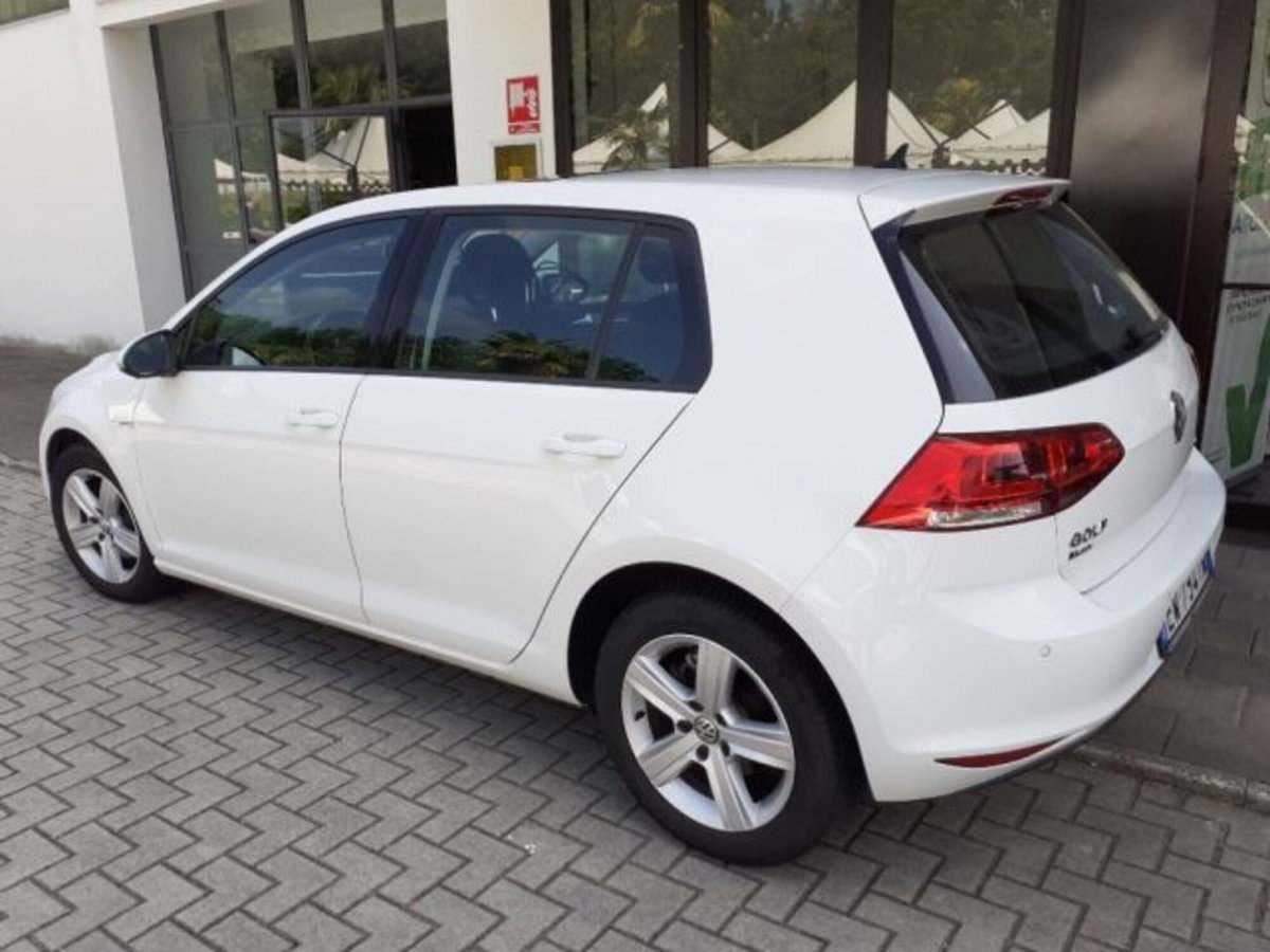 Volkswagen Golf 1.4 TGI DSG 5p. Highline BlueMotion (4)