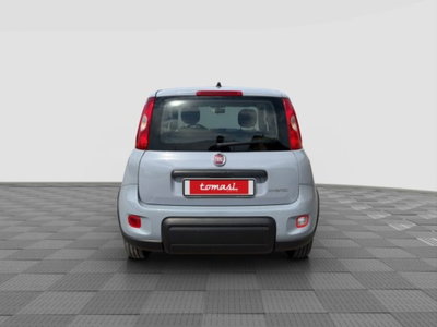 Fiat Panda 1.0 FireFly S&S Hybrid City Cross (4)