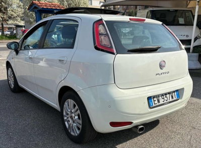 Fiat Punto 1.3 MJT II S&S 85 CV 5 porte ECO Lounge (6)
