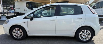 Fiat Punto 1.3 MJT II S&S 85 CV 5 porte ECO Lounge (7)