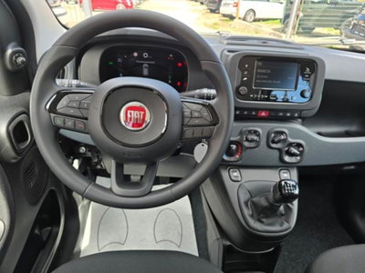 Fiat Pandina 1.0 firefly hybrid Icon s&s 65cv (12)