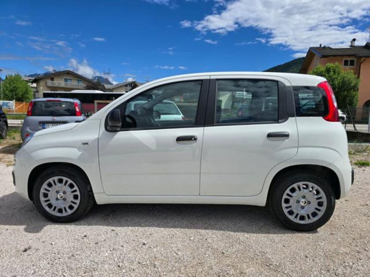 Fiat Pandina 1.0 firefly hybrid Icon s&s 65cv (3)