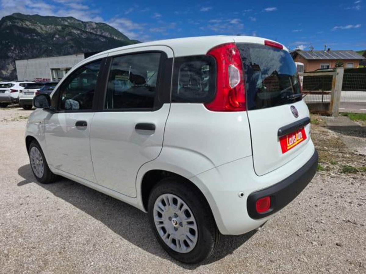 Fiat Pandina 1.0 firefly hybrid Icon s&s 65cv (4)
