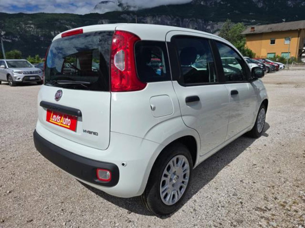 Fiat Pandina 1.0 firefly hybrid Icon s&s 65cv (5)