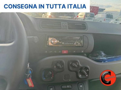 Fiat Panda 1.3 MJT 4x4 Pop Van 2 posti (12)