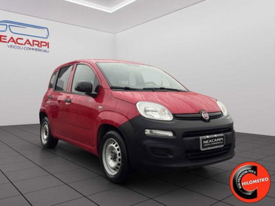 Fiat Panda 1.3 MJT 4x4 Pop Van 2 posti (5)