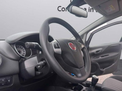 Fiat Punto 1.3 MJT II S&S 95 CV 5 porte Easy (10)