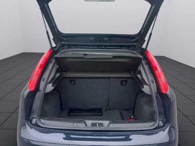 Fiat Punto 1.3 MJT II S&S 95 CV 5 porte Easy (15)