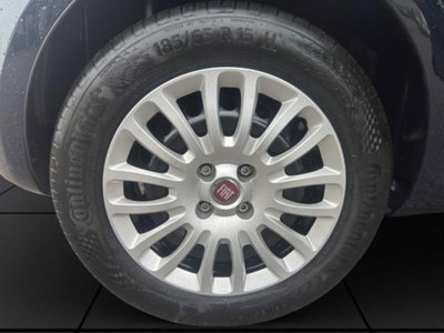 Fiat Punto 1.3 MJT II S&S 95 CV 5 porte Easy (19)