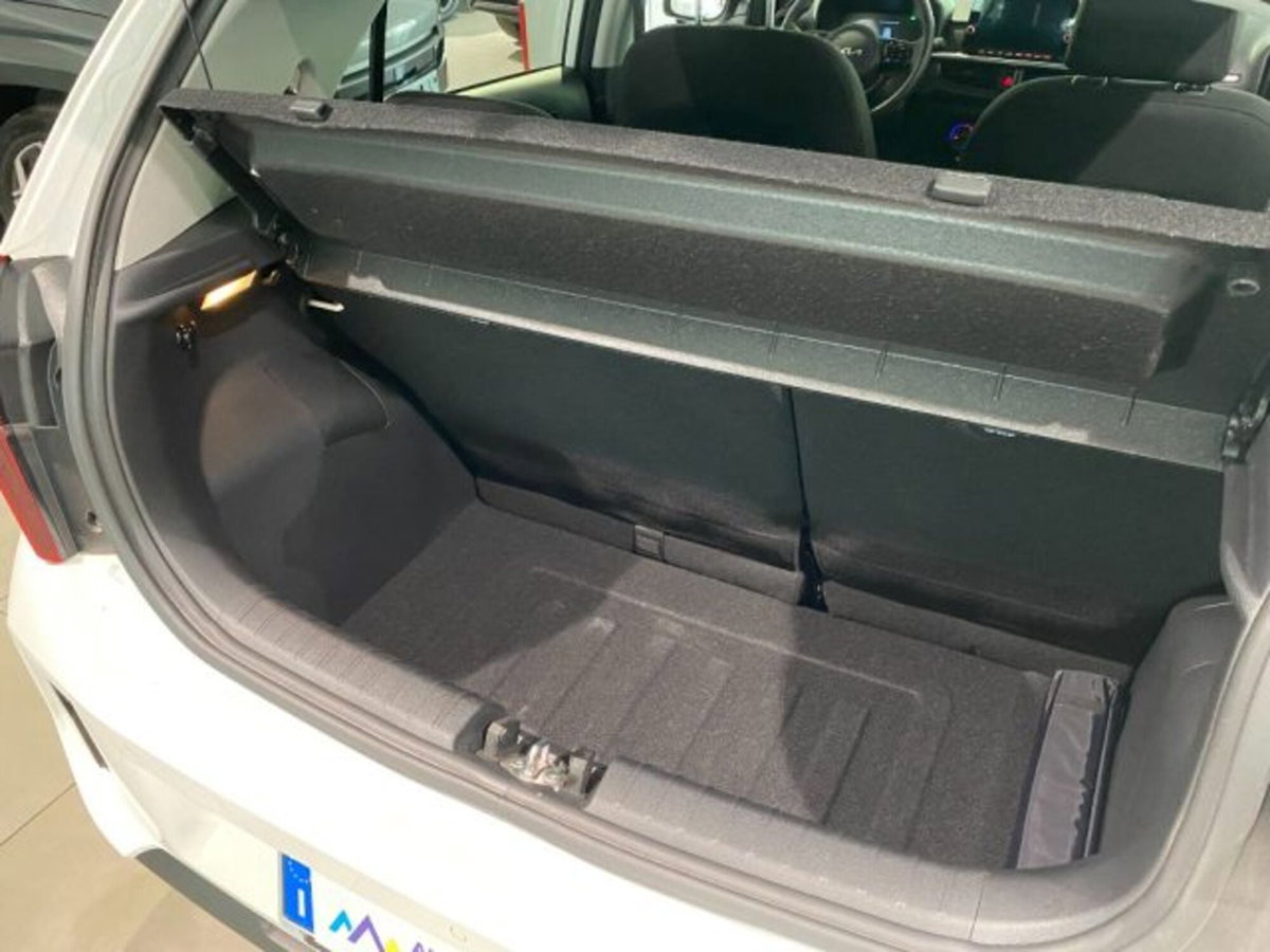 Kia Picanto 1.0 dpi Launch Edition (4)