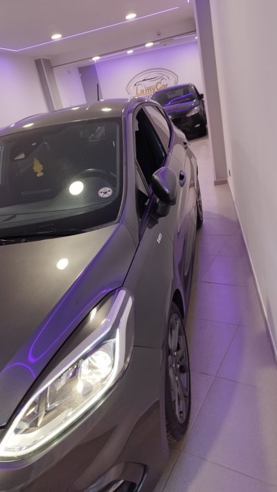 Ford Fiesta 1.5 TDCi 5 porte ST-Line (14)