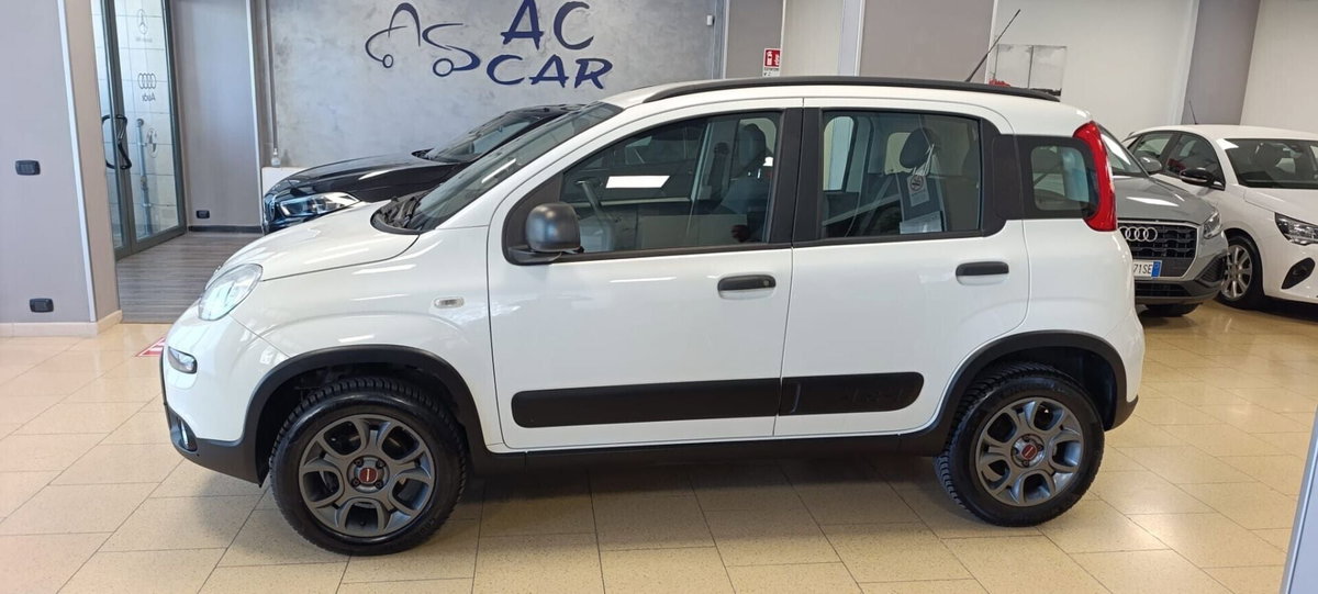 Fiat Panda 1.3 MJT 95 CV S&S 4x4 (4)
