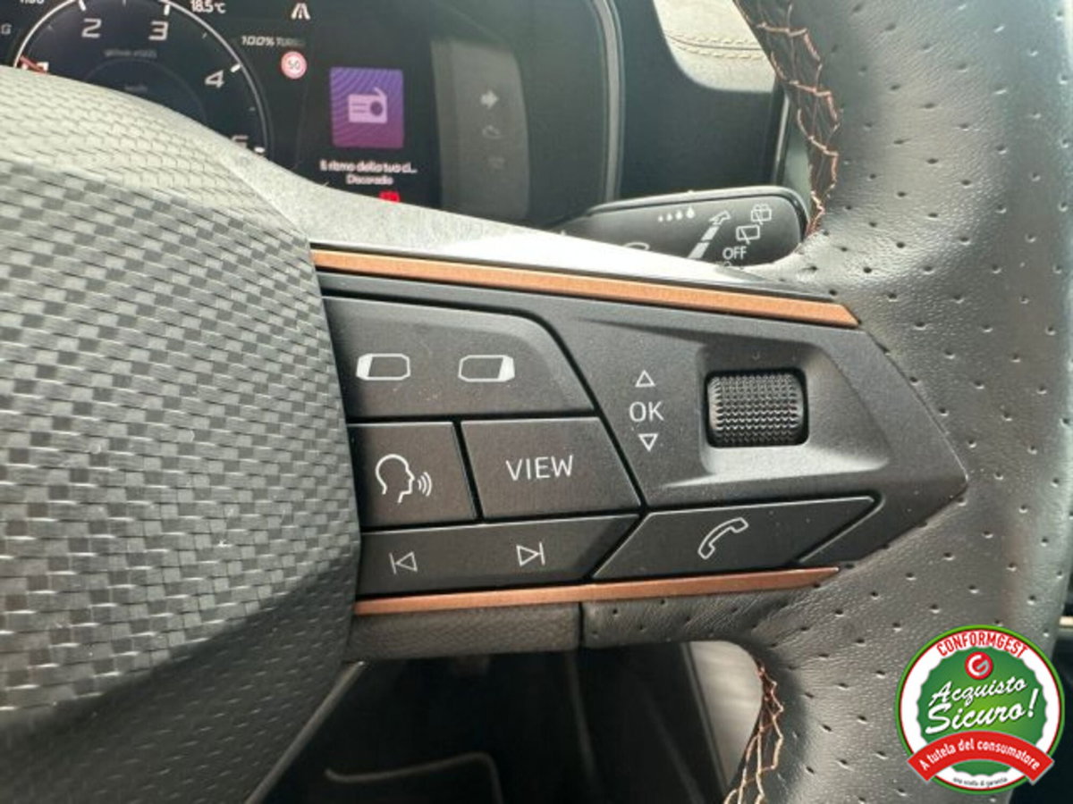 Cupra Formentor Formentor 2.0 TDI (13)