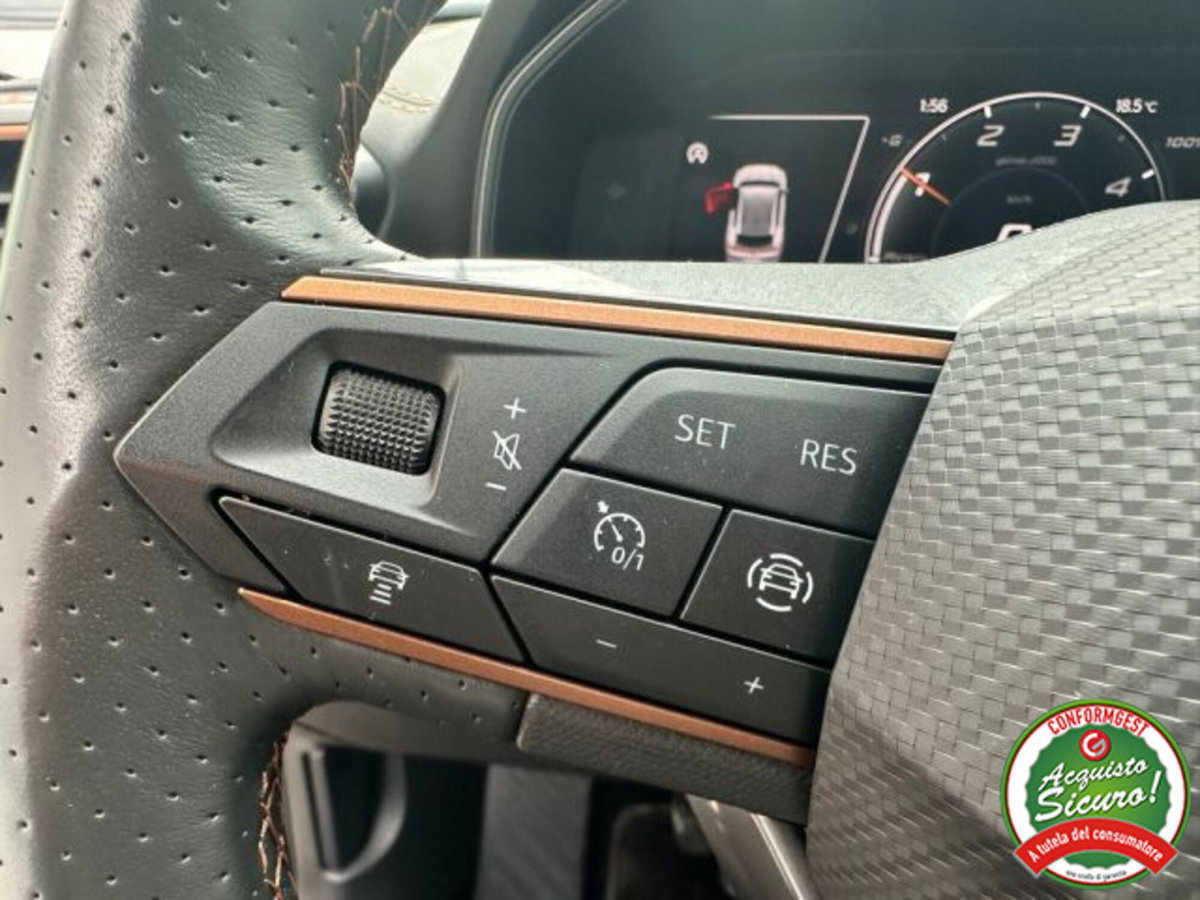 Cupra Formentor Formentor 2.0 TDI (14)