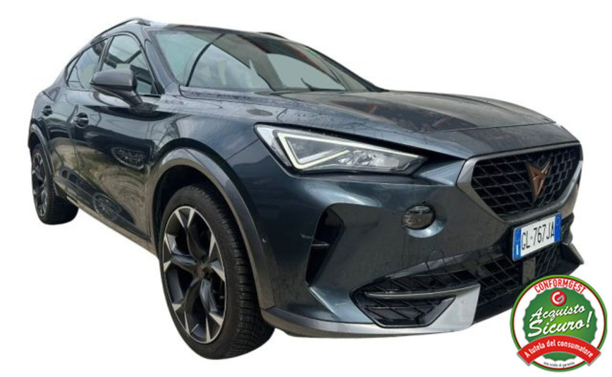 Cupra Formentor Formentor 2.0 TDI (4)
