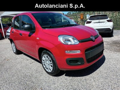Fiat Panda 1.0 firefly hybrid s&s 70cv 5p.ti nuova