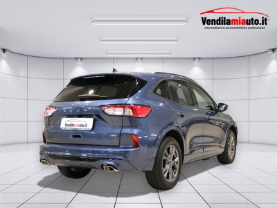 Ford Kuga 1.5 ecoboost ST-Line X 2wd 150cv (5)