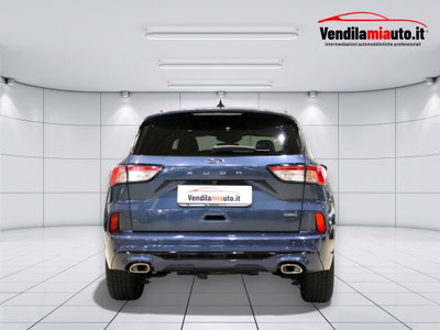 Ford Kuga 1.5 ecoboost ST-Line X 2wd 150cv (6)