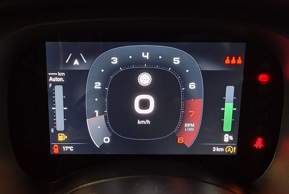 Fiat Pandina 1.0 firefly hybrid Icon s&s 65cv (13)