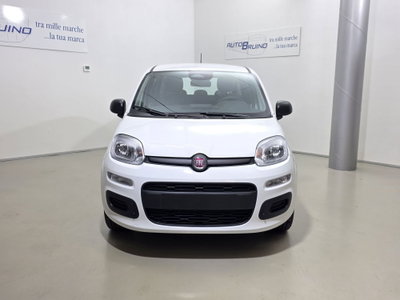 Fiat Pandina 1.0 firefly hybrid Icon s&s 65cv (2)