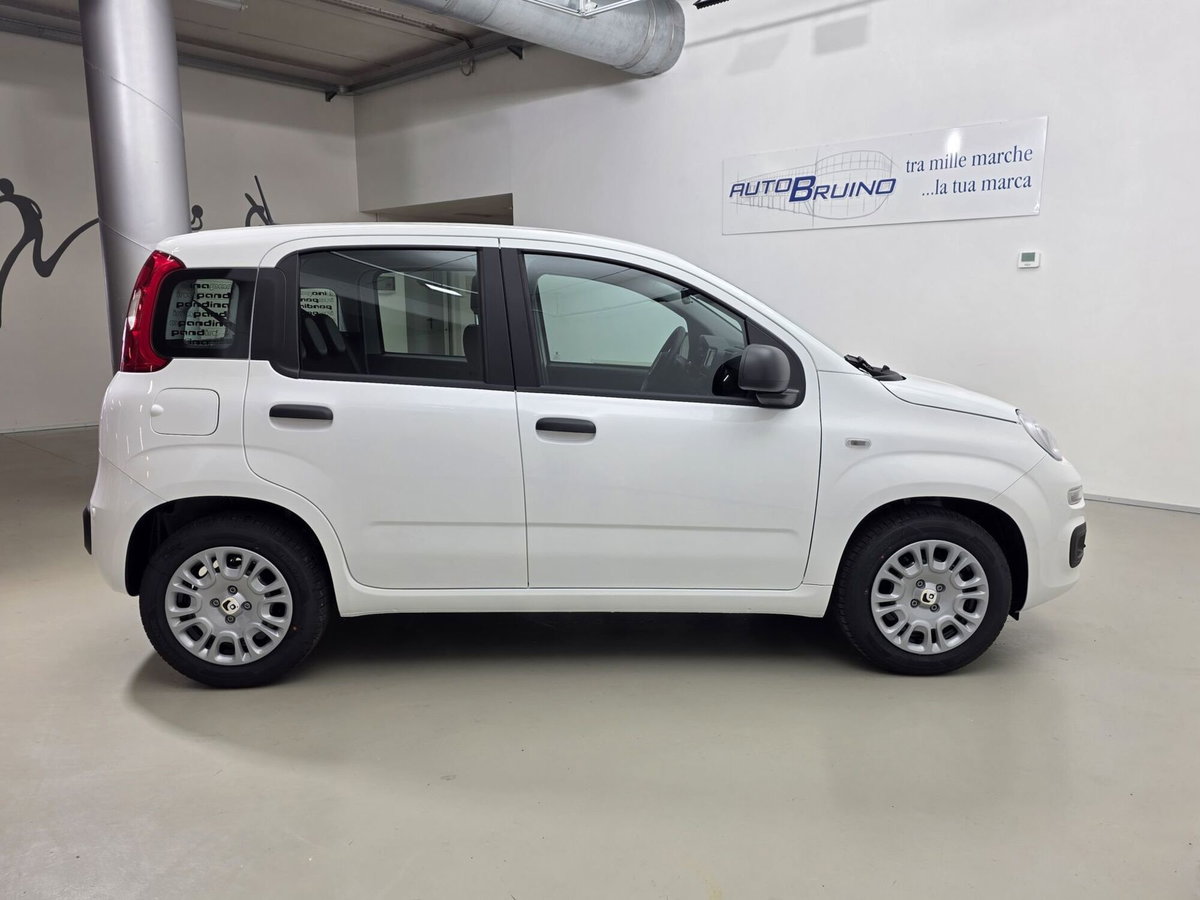 Fiat Pandina 1.0 firefly hybrid Icon s&s 65cv (4)