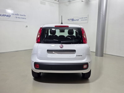 Fiat Pandina 1.0 firefly hybrid Icon s&s 65cv (6)