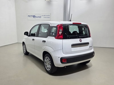 Fiat Pandina 1.0 firefly hybrid Icon s&s 65cv (7)