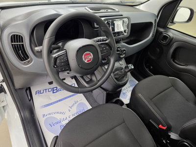 Fiat Pandina 1.0 firefly hybrid Icon s&s 65cv (9)