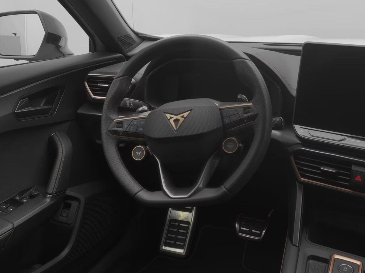 Cupra Formentor 2.0 tsi VZ 4drive 333cv dsg (9)