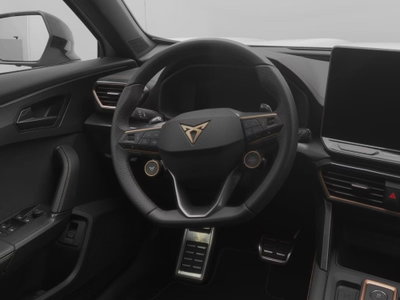 Cupra Formentor 2.0 tsi VZ 4drive 333cv dsg (9)