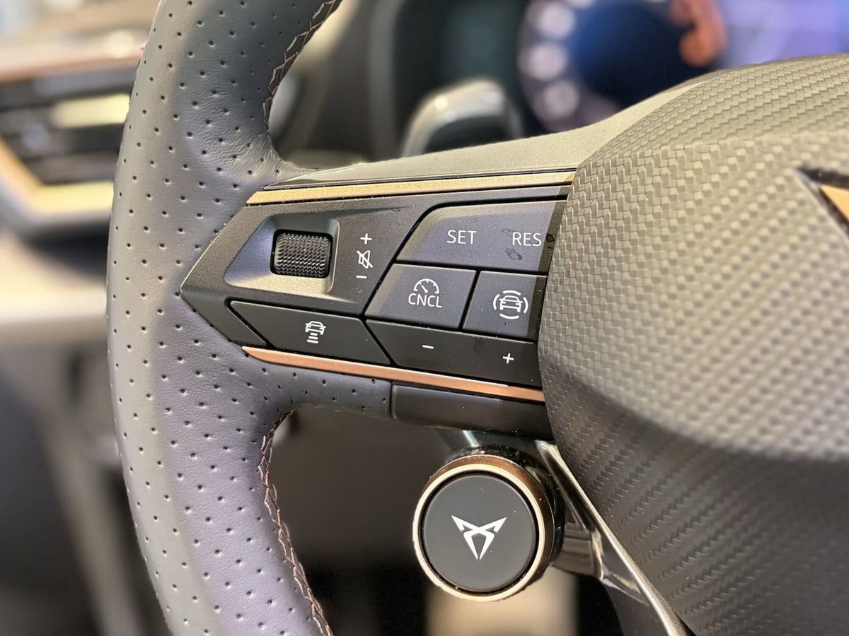 Cupra Formentor Formentor 1.4 e-Hybrid DSG (18)