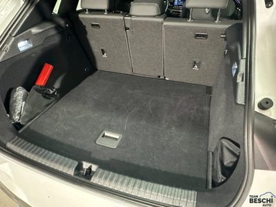 Cupra Terramar 1.5 e-hybrid 204cv dsg (14)