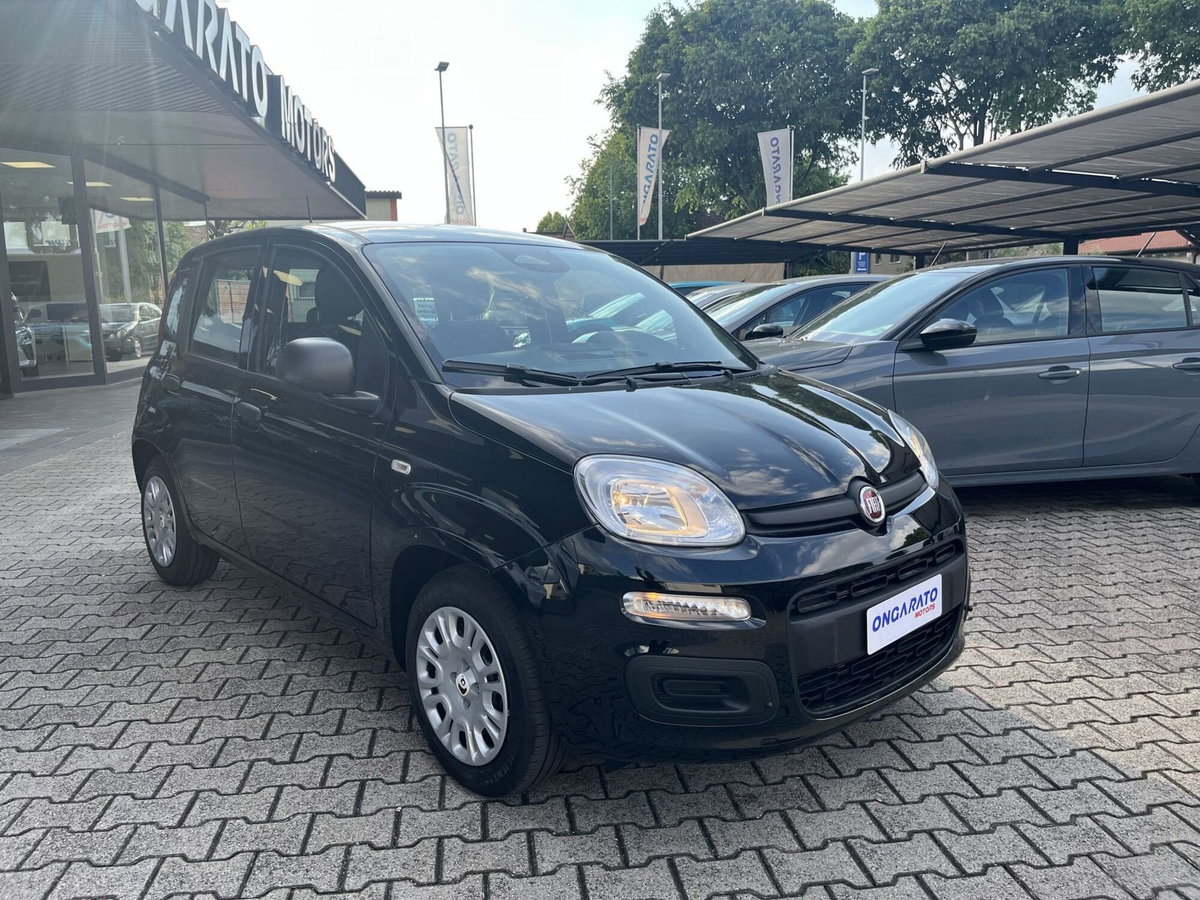 Fiat Pandina 1.0 firefly hybrid Icon s&s 65cv (3)