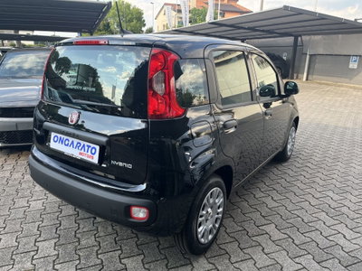 Fiat Pandina 1.0 firefly hybrid Icon s&s 65cv (5)