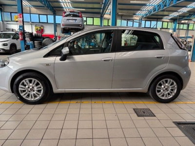 Fiat Punto Evo 1.4 5 porte Active EasyPower (5)