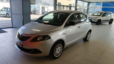 Lancia Ypsilon 1.2 69 CV 5 porte Gold usata