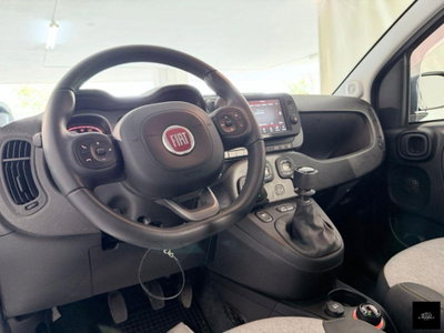 Fiat Panda Cross Cross 0.9 TwinAir Turbo S&S 4x4 (10)