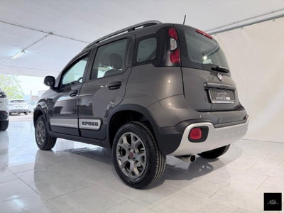 Fiat Panda Cross Cross 0.9 TwinAir Turbo S&S 4x4 (14)