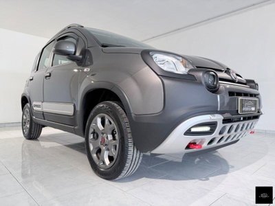Fiat Panda Cross Cross 0.9 TwinAir Turbo S&S 4x4 (2)