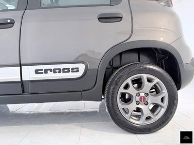 Fiat Panda Cross Cross 0.9 TwinAir Turbo S&S 4x4 (6)