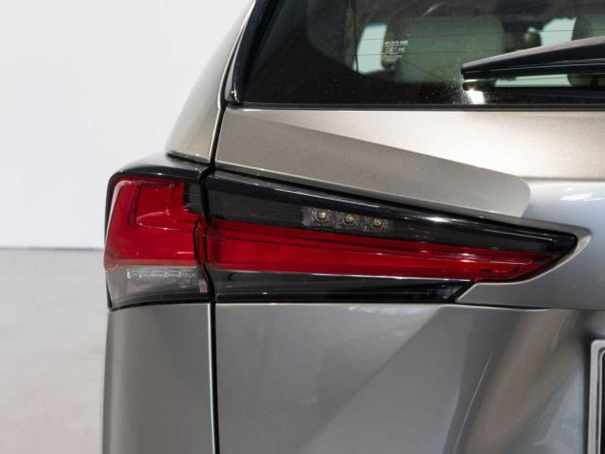 Lexus NX Hybrid (10)