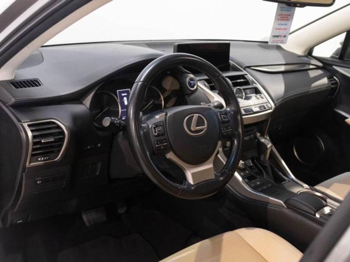 Lexus NX Hybrid (11)