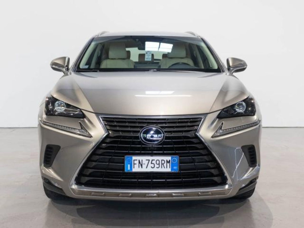 Lexus NX Hybrid (2)