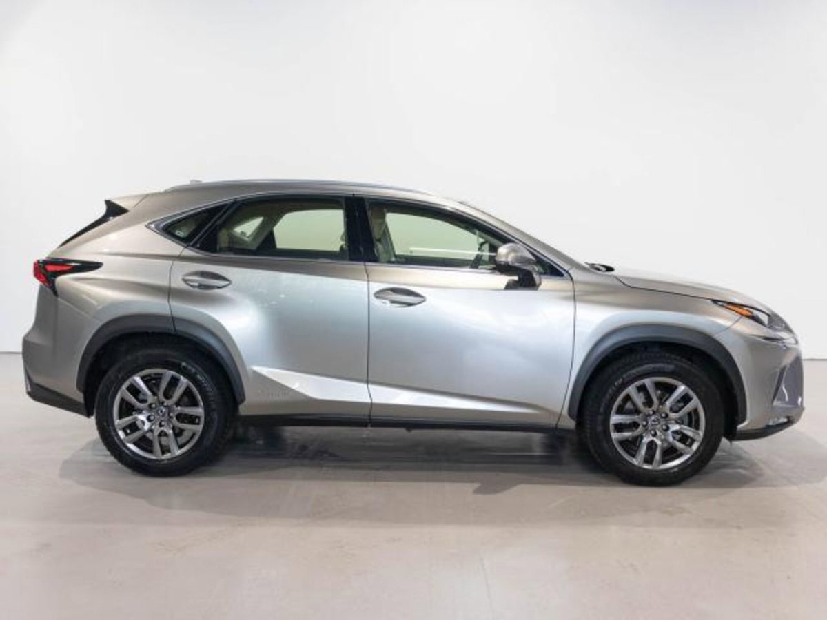Lexus NX Hybrid (4)