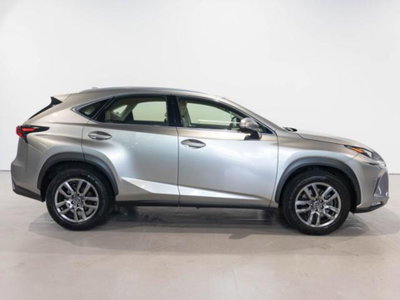 Lexus NX Hybrid (4)