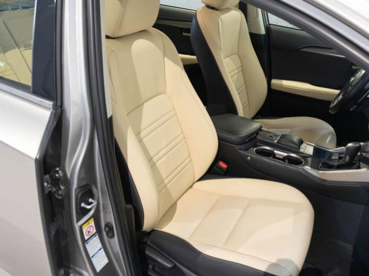 Lexus NX Hybrid (6)