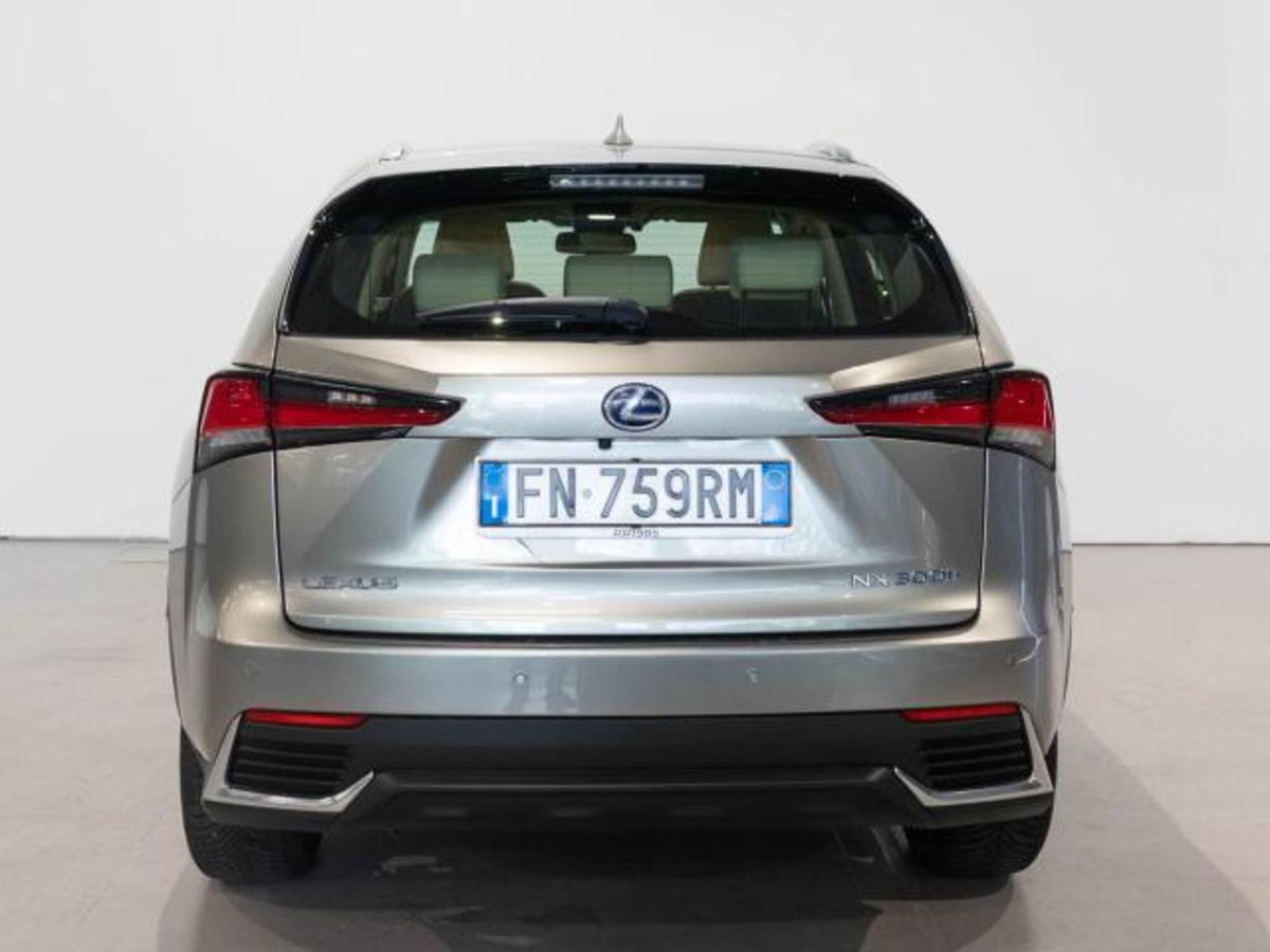Lexus NX Hybrid (7)